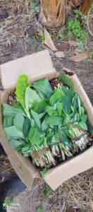 whatsapp image 2025 10 02 at 3.03.22 pm