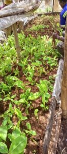 whatsapp image 2025 10 02 at 3.03.26 pm