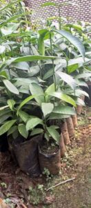 whatsapp image 2025 10 02 at 3.03.30 pm (1)