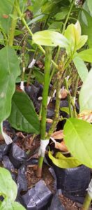 whatsapp image 2025 10 02 at 3.03.32 pm