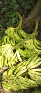 whatsapp image 2025 10 02 at 3.03.33 pm