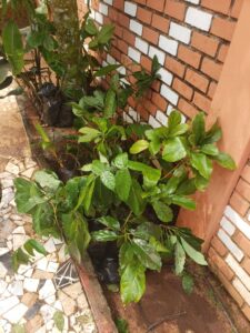 whatsapp image 2025 10 02 at 3.03.35 pm