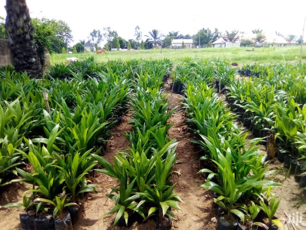 whatsapp image 2025 10 02 at 3.03.31 pm