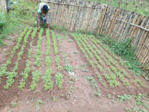 Stories of farmers we support. whatsapp image 2025 11 07 at 11.42.21 pm