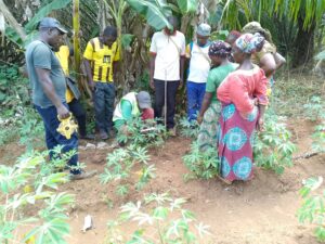 whatsapp image 2025 11 07 at 11.47.05 pm (1)