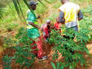 whatsapp image 2025 11 07 at 11.47.05 pm