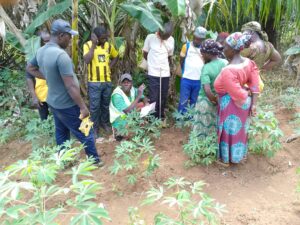 whatsapp image 2025 11 07 at 11.47.06 pm