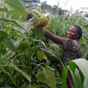 whatsapp image 2025 12 01 at 9.48.00 pm